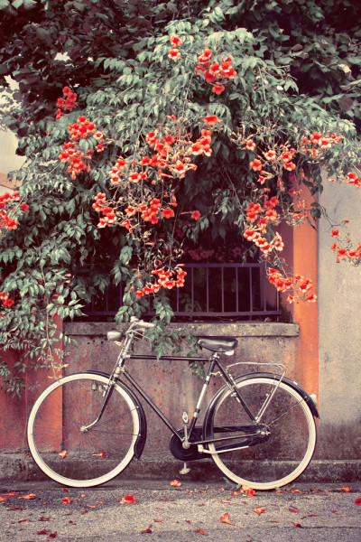 Akustikbild FAHRRAD