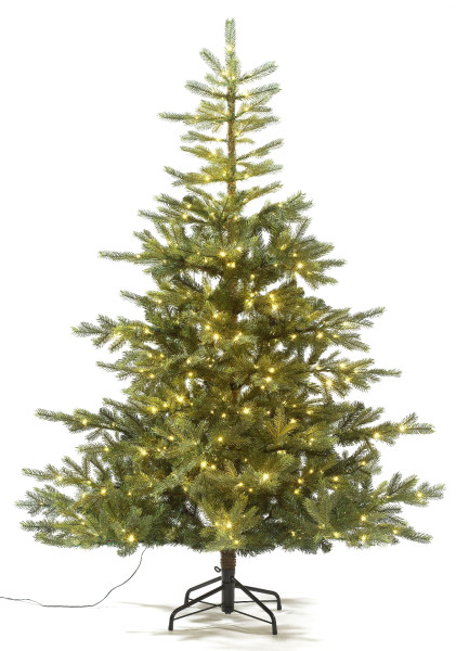 Tannenbaum mit Beleuchtung