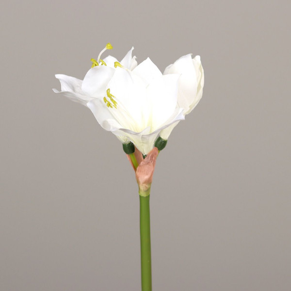 Kunstblume AMARYLLIS