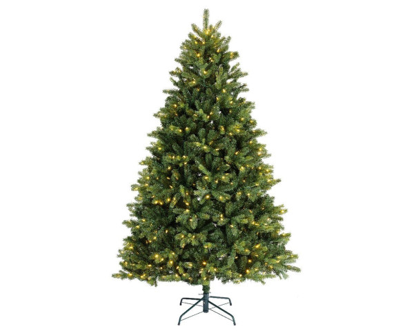 Tannenbaum mit Beleuchtung