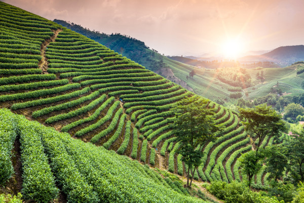 Akustikbild WEINBERGE