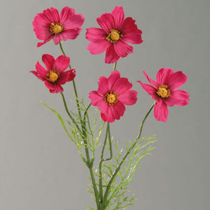 Kunstblume COSMEA