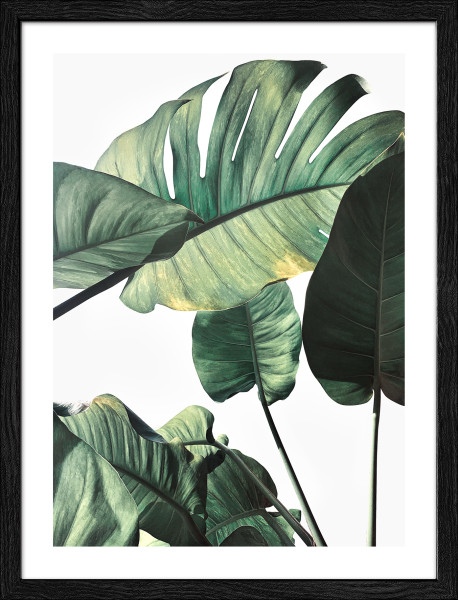 Gerahmtes Bild JUNGLE LEAVES