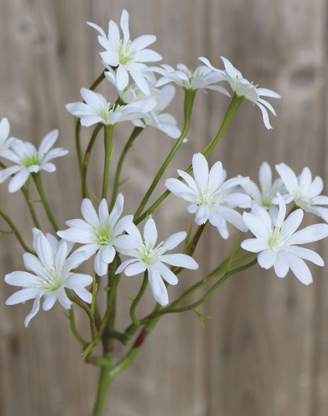 Kunstblume STRANDASTER weiß