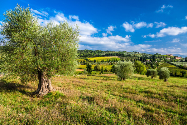 Akustikbild LANDSCHAFT